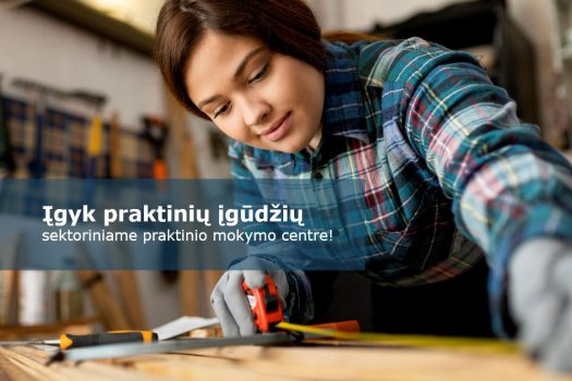 „Įgyk praktinių įgūdžių sektoriniame praktinio mokymo centre!“ projektas antrojo kvietimo metu sulaukė 28 paraiškų